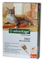 Bayer  (Байер Адвантейж) ADVANTAGE Cat 80 - средство от блох для кошек более 4 кг - 1 пипетка