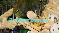 Игрушка "Замок Клео" для средних и крупных попугаев