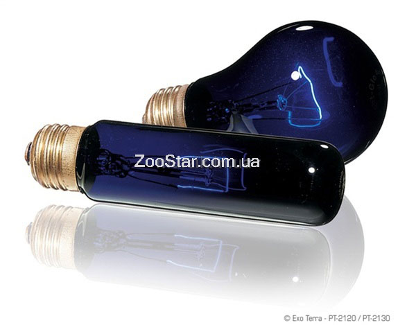 Лампа Night Glo A19 купить в Украине по недорогой цене - зоомагазин ZOOstar