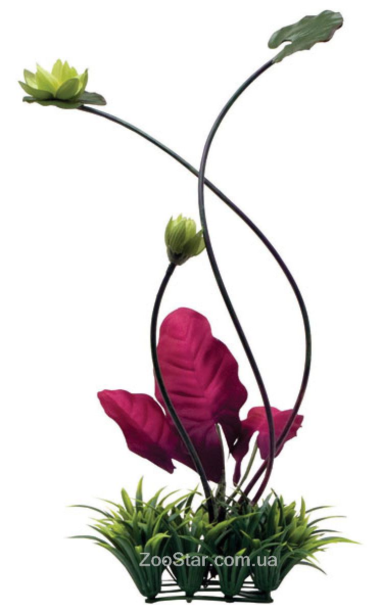 Аквариумное растение Fluval Chi Lily Pad and Plant Grass Ornament купить в Украине по недорогой цене - зоомагазин ZOOstar