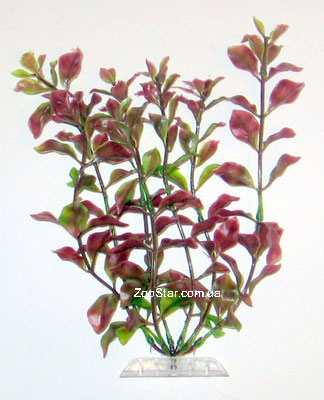 Растение Red Ludwigia пластиковое  купить в Украине по недорогой цене - зоомагазин ZOOstar