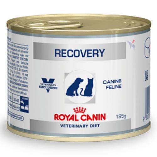 "Royal Canin Recovery" Консервы для восстановительного периода после болезни