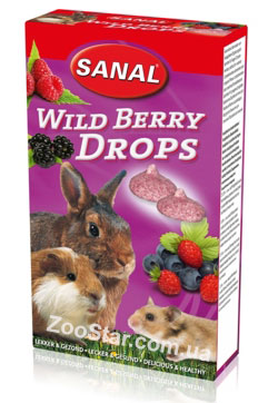 WILD BERRY DROPS - дропсы с лесными ягодами, витаминное лакомство