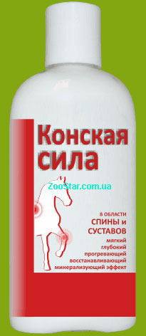 Гель "Конская сила" согревающий на основе бишофита купить в Украине по недорогой цене - зоомагазин ZOOstar