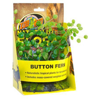 Button Fern - искусственное декоративное растение купить в Украине по недорогой цене - зоомагазин ZOOstar
