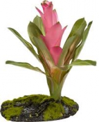 Cryptonihus Bromeliad - искусственное бромелиевое растение для террариума на на камне
