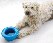 НЕРАЗЛИВАЙКА (Non-Splash) миска для собак, пластик - 22,5Х8см.