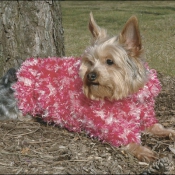 EYELASH ELEGANCE свитер, одежда для собак - лазурный | XS