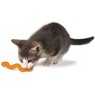 "Petstages Wiggle Worm" червячок - игрушка для кошек