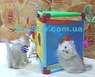 Игровой домик для кошек "Flip"n Fun Cat Activity Center"