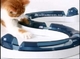 Игровой лабиринт - интерактивная игрушка для кошек  Hagen CATIT PLAY CIRCUIT