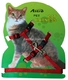 Комплект Шлейка  с поводком нейлоновая для кошек
