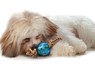 "PETSTAGES Mini Orka Ball with rope Орка" мини мячик с канатиками - игрушка для собак