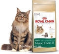 MAINE COON 31 - специальный корм для породы Мэйн Кун