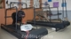  Электрическая беговая дорожка для тренировки собак, 2м 50 см