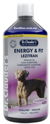 Energy & Fit Lezitran -лезитран, энергетическая добавка для собак, 250 мл