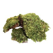 Природный натуральный мох All Natural Frog Moss