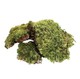 Природный натуральный мох All Natural Frog Moss