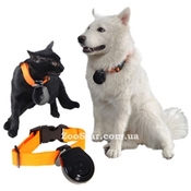 Видеокамера для ношения для собак и кошек