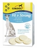 Джимдог витамины *Fit & Strong* с биотином для собак, 70 г