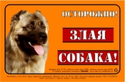 Предупреждающая надпись "ОСТОРОЖНО, ЗЛАЯ СОБАКА", кавказская овчарка, полноцвет