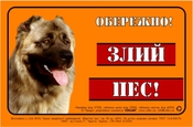 Предупреждающая надпись "ОБЕРЕЖНО, ЗЛИЙ ПЕС", кавказская овчарка, полноцвет