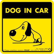 Наклейка "Dog in car" для авто