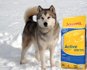 "Active 25/17" для взрослых активных собак
