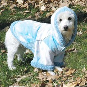 A BIT CHILLY пальто, одежда для собак