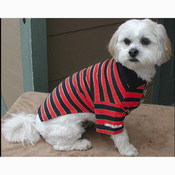 RUGBY STRIPED тениска полосатая, одежда для собак