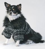 PARIS пальто, одежда для собак