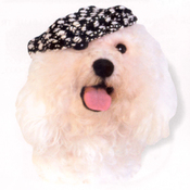 CHUNKY BOUCLE кепка, одежда для собак