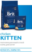 Kitten Chicken - полноценный сухой корм с курицей для котят