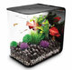 Flow - аквариум 30 литров 