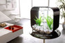 Life Square - аквариум 30 литров 