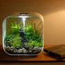 Life Square - аквариум 45 литров 