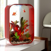 Life Square - аквариум 60 литров 