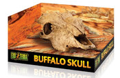 Buffalo Skull - декорация череп быка