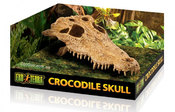 Crocodile Skull - декорация череп крокодила.