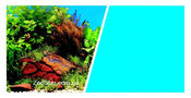 Двухсторонний фон Marina Double Sided Aquarium Backround 30см*7,5м дв. растения с камнями -голубой фон
