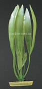 Аквариумное растение Marina AquaScaper Amazon Sword Plant