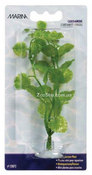 Аквариумное растение CARDAMINE mini 10 см