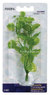 Аквариумное растение CARDAMINE mini 10 см