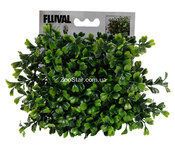 Аквариумное растение Fluval Chi Boxwood
