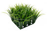 Аквариумное растение Fluval Chi Grass Ornament