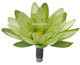 Аквариумное растение Fluval Chi Lily Flower