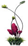Аквариумное растение Fluval Chi Lily Pad and Plant Grass Ornament