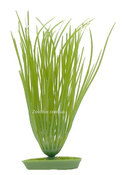 Аквариумное растение Hagen Marina Hairgrass