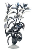 Аквариумное растение Hagen Marina Red Ludwigia черный жемчуг, 20см