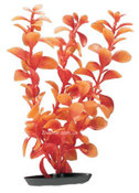 Аквариумное растение Hagen Marina Red Ludwigia оранжевая